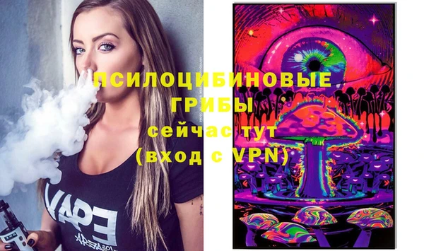 МДПВ Волоколамск