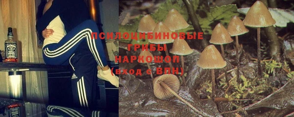 спайс Вяземский