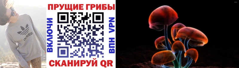 Галлюциногенные грибы Cubensis  Звенигово 